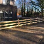 Ligger type Holstein