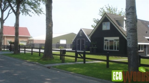 Holstein 2 liggers Waarland Holstein 2 liggers Waarland