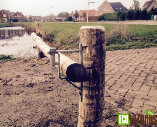 Robinia bosslagboom Friesland zijaanzicht Robinia bosslagboom Friesland zijaanzicht