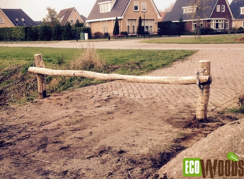 Robinia bosslagboom Friesland Afsluitboom