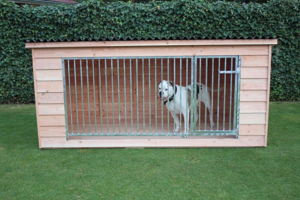 Hondenkennel Rex - Afbeelding 4