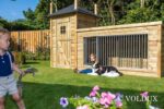 Hondenkennel Hooiberg Lize - Voldux - Afbeelding 7