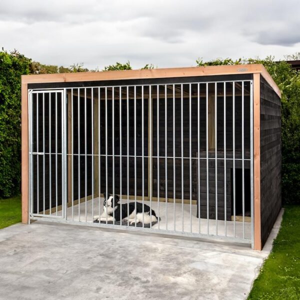 Hondenkennel Bo - Voldux - Afbeelding 6